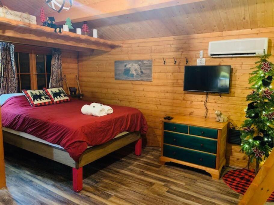 Honeybear Hideaway Cabin เฮย์วาร์ด ภายนอก รูปภาพ
