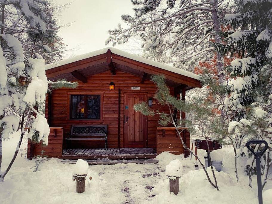 Honeybear Hideaway Cabin เฮย์วาร์ด ภายนอก รูปภาพ