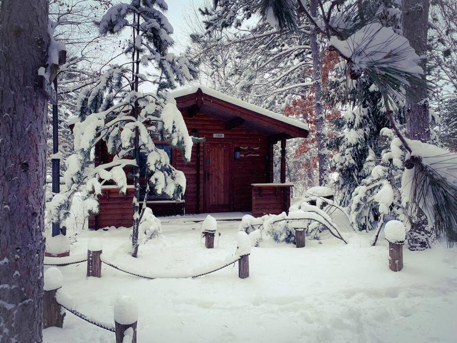 Honeybear Hideaway Cabin เฮย์วาร์ด ภายนอก รูปภาพ
