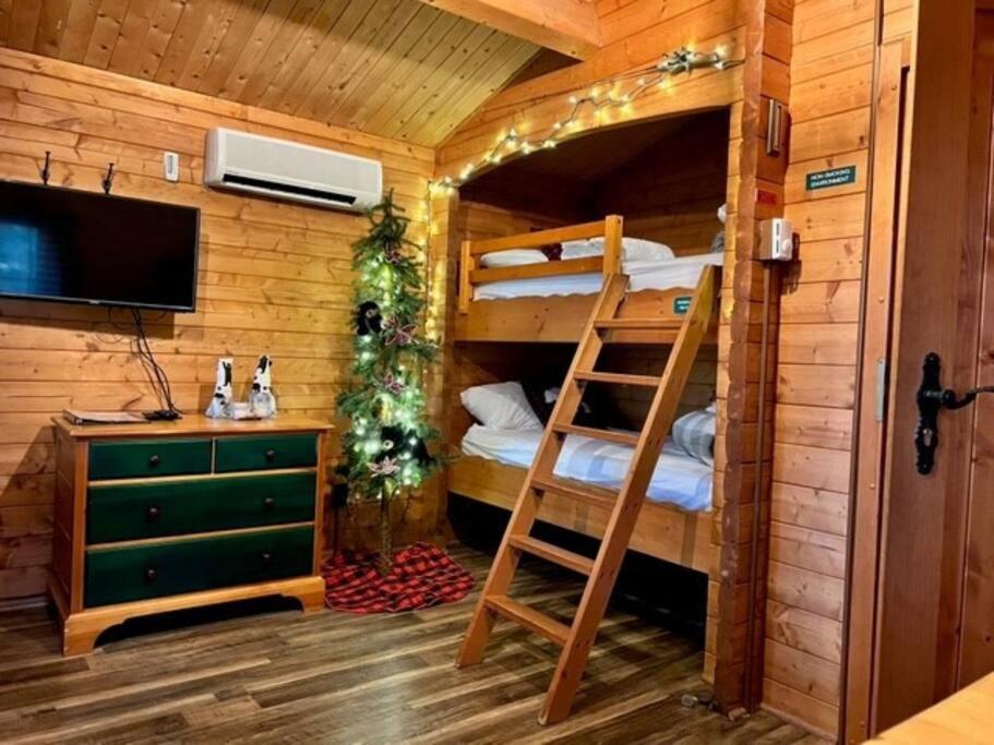 Honeybear Hideaway Cabin เฮย์วาร์ด ภายนอก รูปภาพ